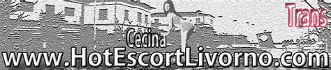 escort trans cecina|Trans Cecina, Annunci travestiti